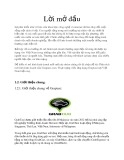 Thảo luận nhóm: Phân tích mô hình kinh doanh của Grabtaxi.com, thực trạng việc ứng dụng Graptaxi tại Việt Nam hiện nay