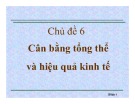 Bài giảng Chủ đề 6: Cân bằng tổng thể và hiệu quả kinh tế