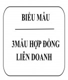 3 mẫu hợp đồng liên doanh