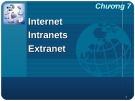 Bài giảng Nhập môn hệ thống thông tin - Bài 7 (tt): Internet - Intranets - Extranet