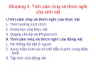 Bài giảng Sinh học đại cương - Chương 4: Tính cảm ứng và thích nghi của sinh vật