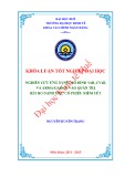 Khóa luận tốt nghiệp: Nghiên cứu ứng dụng mô hình VaR, CVaR và ARMA/GARCH vào quản trị rủi ro danh mục cổ phiếu niêm yết