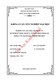 Khóa luận tốt nghiệp Quản trị kinh doanh: Nghiên cứu giá trị cảm nhận và dự định sử dụng dịch vụ 3G trên điện thoại di động của người dân thành phố Huế