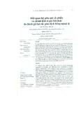 Mối quan hệ giữa giá cổ phiếu và chênh lệch tỷ giá hối đoái do đánh giá lại các giao dịch bằng ngoại tệ