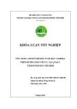 Khóa luận tốt nghiệp Hệ thống Thông tin Địa lý: Ứng dụng GIS hỗ trợ bài toán đặt camera trên đường phố tối ưu, tại Quận 1, thành phố Hồ Chí Minh