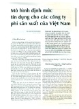 Mô hình định mức tín dụng cho các công ty phi sản xuất của Việt Nam