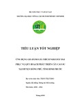 Tiểu luận tốt nghiệp Hệ thống thông tin môi trường: Ứng dụng GIS đánh giá thích nghi đất đai phục vụ quy hoạch phát triển cây cao su tại huyện Đồng Phú, tỉnh Bình Phước
