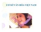 Bài giảng Cơ sở Văn hóa Việt Nam - Trần Ngọc Thêm