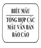 Tổng hợp các mẫu văn bản báo cáo