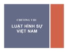 Bài giảng Chương 8: Luật Hình sự Việt Nam