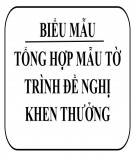 Tổng hợp Mẫu tờ trình đề nghị khen thưởng