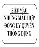 Những mẫu hợp đồng ủy quyền thông dụng