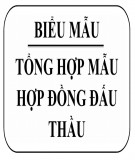 Tổng hợp mẫu hợp đồng đấu thầu