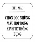 Chọn lọc những mẫu hợp đồng kinh tế thông dụng