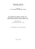 Báo cáo đề tài nghiên cứu khoa học cấp Bộ: Bất đối xứng trong tương tác lepton - hạt nhân năng lượng cao