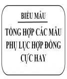 Tổng hợp các mẫu phụ lục hợp đồng cực hay