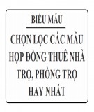 Chọn lọc các mẫu hợp đồng thuê nhà trọ, phòng trọ hay nhất