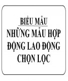 Những mẫu hợp đồng lao động chọn lọc