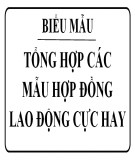 Tổng hợp các mẫu hợp đồng lao động cực hay