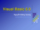 Bài giảng Visual Basic 6.0: Phần 1 - Nguyễn Đăng Quang