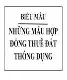 Những mẫu hợp đồng thuê đất thông dụng