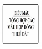 Tổng hợp các mẫu hợp đồng thuê đất