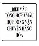 Tổng hợp 3 mẫu hợp đồng vận chuyển hàng hóa