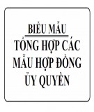 Tổng hợp các mẫu hợp đồng ủy quyền