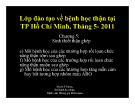 Bài giảng Chương 5: Sinh thiết thận ghép
