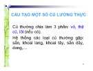 Bài giảng Cấu tạo một số củ lương thực