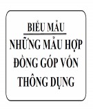 Những mẫu hợp đồng góp vốn thông dụng