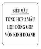 Tổng hợp 2 mẫu hợp đồng góp vốn kinh doanh