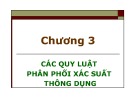 Bài giảng Chương 3: Các quy luật phân phối xác suất thông dụng