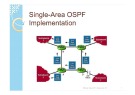 Bài giảng Mạng máy tính nâng cao - Chương 12: Single-Area OSPF Implementation