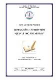 Sáng kiến kinh nghiệm: Bổ sung, nâng cấp phần mềm "Quản lý học sinh vi phạm"