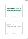 Bài giảng Kinh tế học quản lý: Chương 6 - TS. Phan Thế Công (2013)