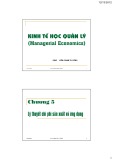 Bài giảng Kinh tế học quản lý: Chương 5 - TS. Phan Thế Công (2013)