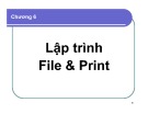 Bài giảng Lập trình Windows - Chương 6: Lập trình File & Print (2016)