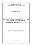 Luận văn Thạc sĩ Địa lý học: Tổ chức lãnh thổ trồng và chế biến cây công nghiệp huyện IaGrai tỉnh Gia Lai