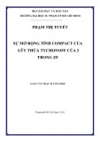 Luận văn Thạc sĩ Toán học: Sự mở rộng tính compact của lũy thừa Tychonoff của 2 trong ZF