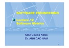 Lecture Software engineering: Lecture 12 - TS. Đào Nam Anh