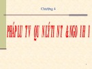 Bài giảng Luật ngân hàng và chứng khoán (Phần 1: Luật ngân hàng): Chương 4 - Nguyễn Từ Nhu
