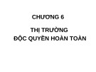 Bài giảng Kinh tế vi mô: Chương 6 - Lâm Sinh Thư