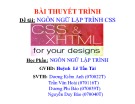 Bài thuyết trình Ngôn ngữ lập trình CSS