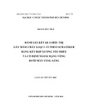 Luận án Tiến sĩ Y học: Đánh giá kết quả điều trị gãy mâm chày loại V-VI theo Schatzker bằng kết hợp xương tối thiểu và cố định ngoài dạng vòng dưới màn tăng sáng