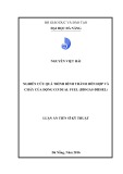 Luận án Tiến sĩ Kỹ thuật: Nghiên cứu quá trình hình thành hỗn hợp và cháy của động cơ dual fuel (biogas diesel)