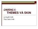 Bài giảng Phát triển Web nâng cao - Chương 5: Themes và Skin