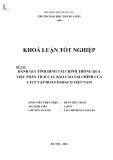 Khóa luận tốt nghiệp: Đánh giá tình hình tài chính thông qua việc phân tích các báo cáo tài chính của CTCP Tập đoàn DABACO Việt Nam