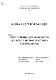 Khóa luận tốt nghiệp: Phân tích hiệu quả sử dụng vốn lưu động tại Công ty Cổ phần Chương Dương