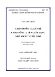 Luận án Tiến sỹ Y học: Chẩn đoán và xử trí carcinôm tuyến giáp dạng nhú kích thước nhỏ